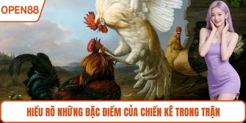 Hiểu rõ những đặc điểm của chiến kê trong trận
