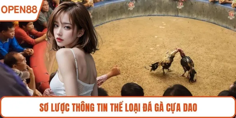 Sơ lược thông tin thể loại đá gà cựa dao